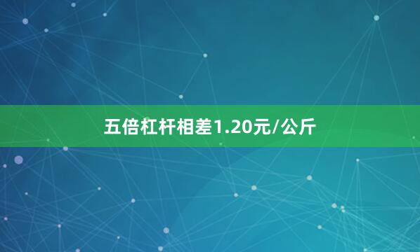 五倍杠杆相差1.20元/公斤