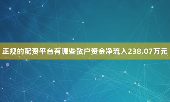 正规的配资平台有哪些散户资金净流入238.07万元