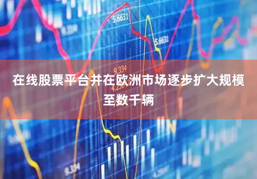 在线股票平台并在欧洲市场逐步扩大规模至数千辆