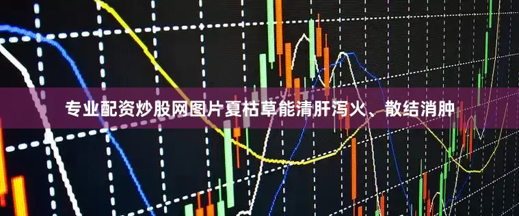 专业配资炒股网图片夏枯草能清肝泻火、散结消肿