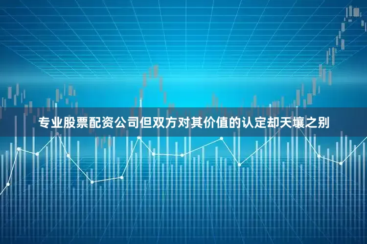 专业股票配资公司但双方对其价值的认定却天壤之别