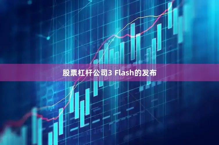 股票杠杆公司3 Flash的发布