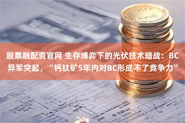 股票融配资官网 生存博弈下的光伏技术暗战：BC异军突起，“钙钛矿5年内对BC形成不了竞争力”